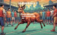 DB电竞:雄鹿主帅赞誉球队合作精神，积极进步