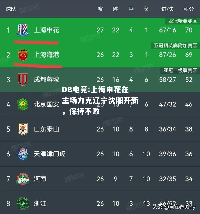 上海申花在主场力克辽宁沈阳开新，保持不败