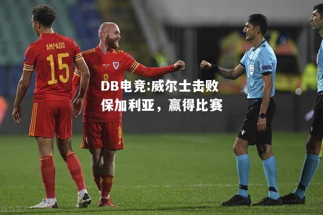 威尔士击败保加利亚，赢得比赛